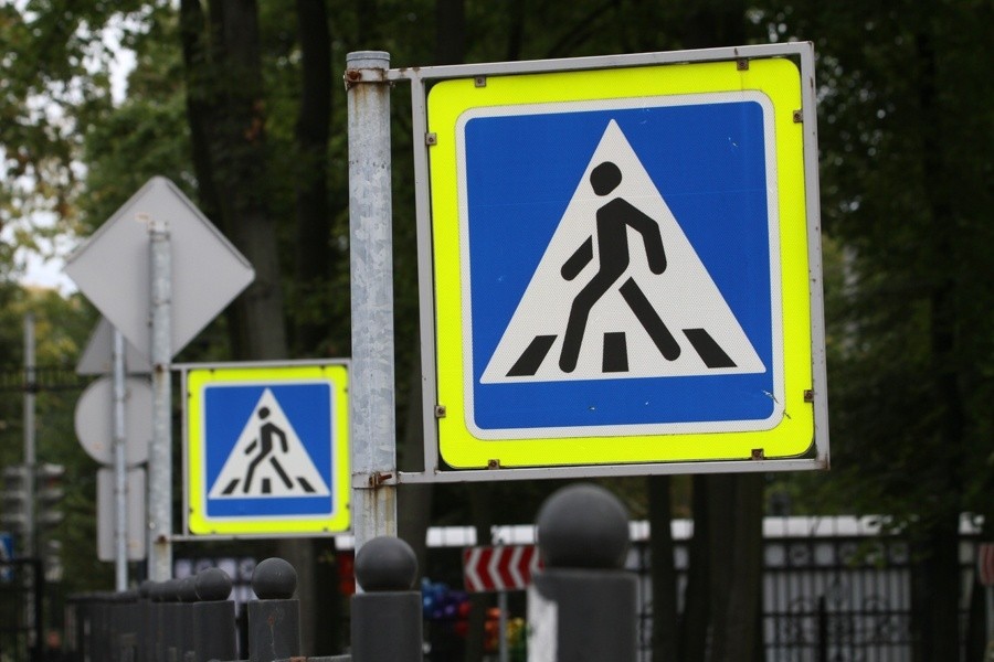 Дятлова: не все муниципалитеты успели оборудовать пешеходные переходы у школ
