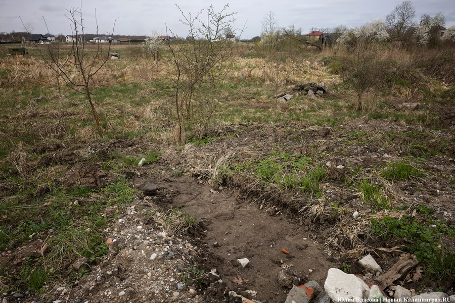 В Калининградской области пересчитали налог на 59 заросших сельхозучастков