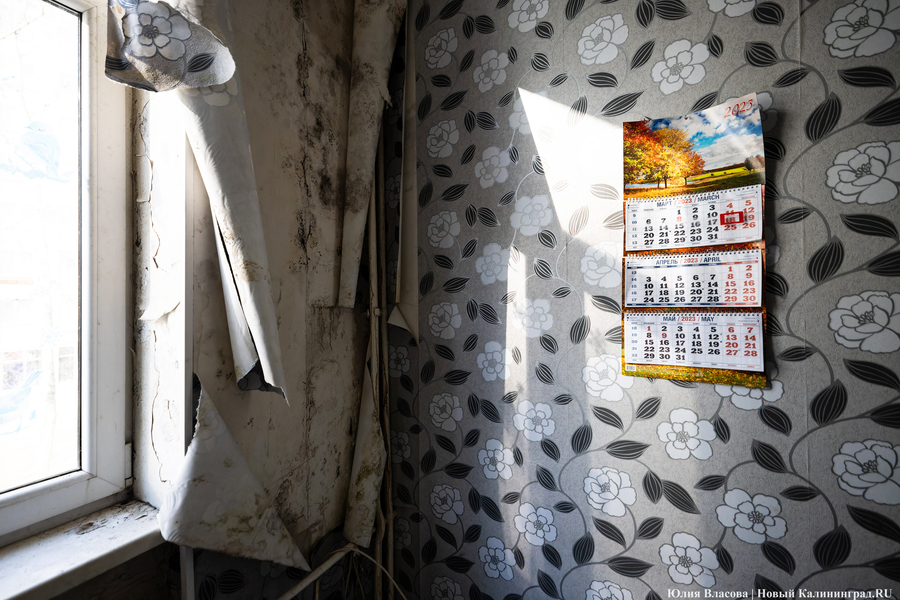 Бастрыкин ждёт доклад по делу о длительном нерасселении дома в Калининграде