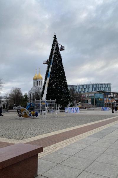 На площади Победы начали демонтировать главную городскую ель (фото)