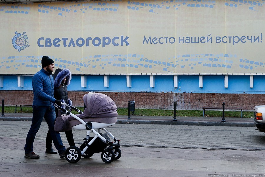 Беременным калининградкам власти обещают бесплатные путевки в пансионат для пожилых