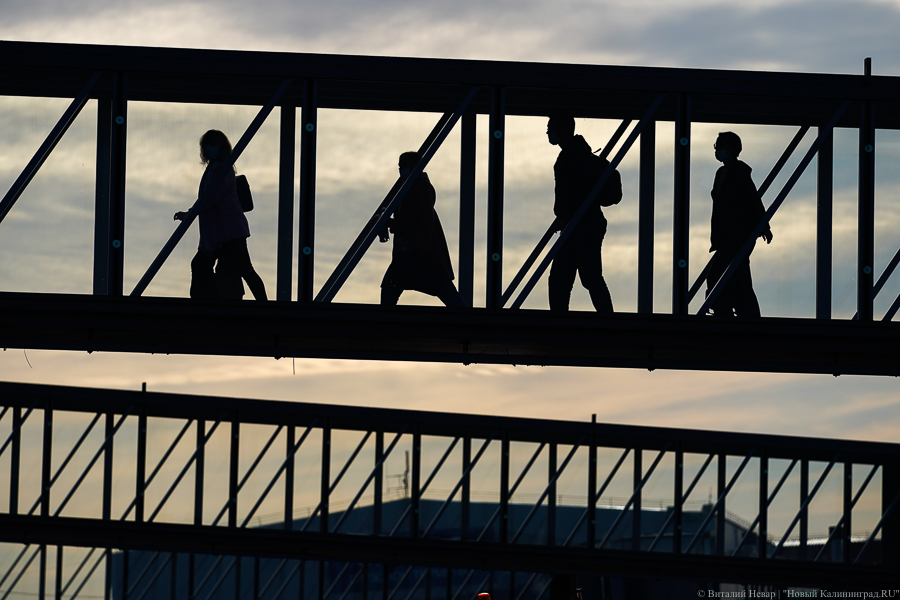 МИД посоветовал оценивать риски при планировании поездок за рубеж