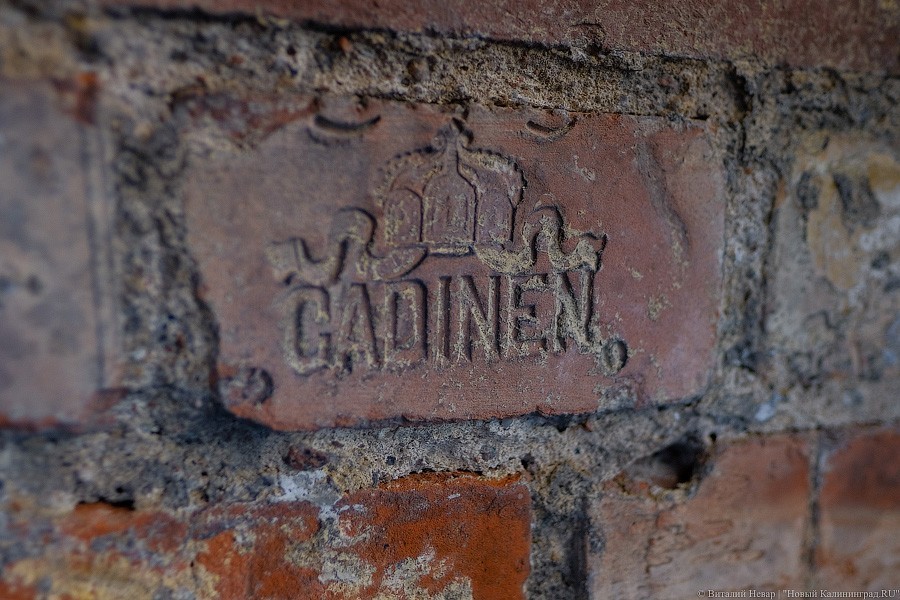 В Калининградской области выпустили книгу о кирпиче Восточной Пруссии