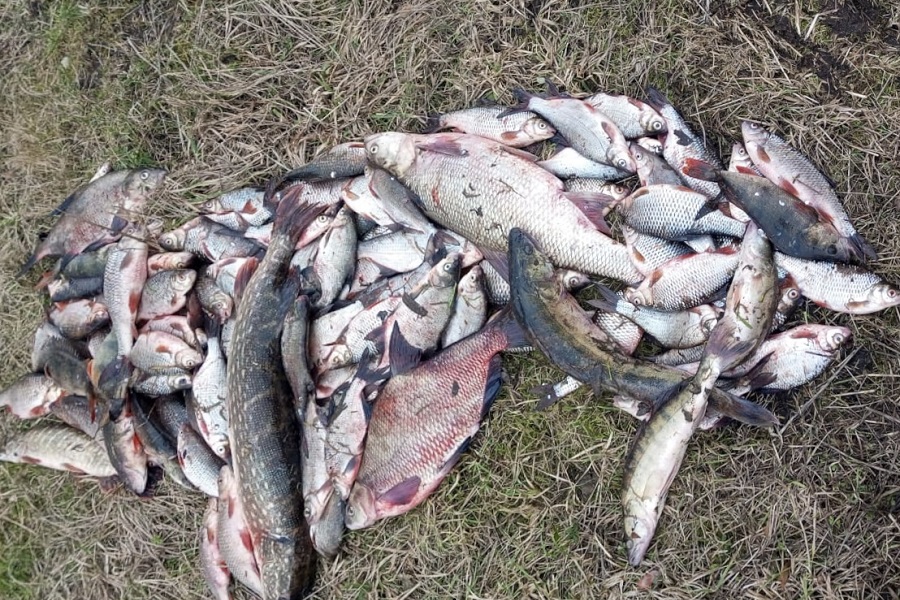 В акватории Преголи транспортные полицейские задержали браконьера-рецидивиста (фото)