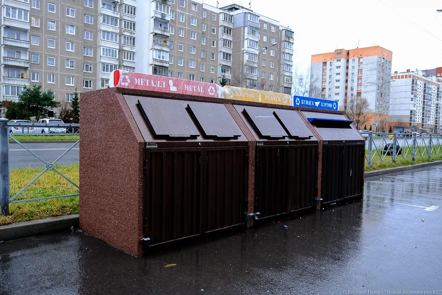 В минприроды назвали самое популярное вторсырьё в Калининграде