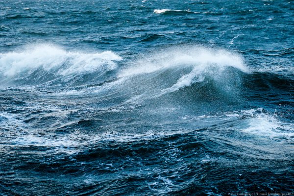 «Радоваться особо нечему»: эксперт оценил состояние Балтийского моря