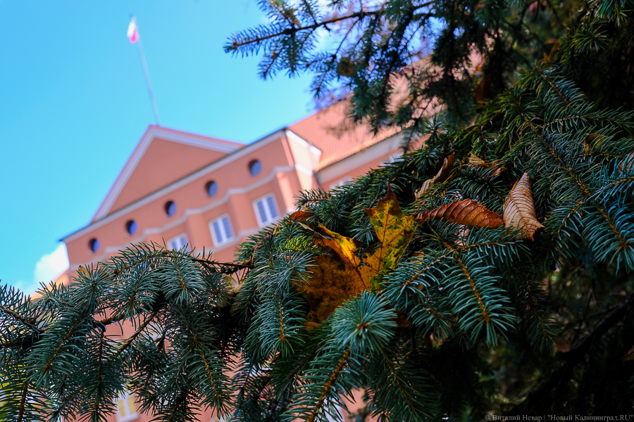 В Калининградской области переименовывают поселки Междуречье и Холмогорье