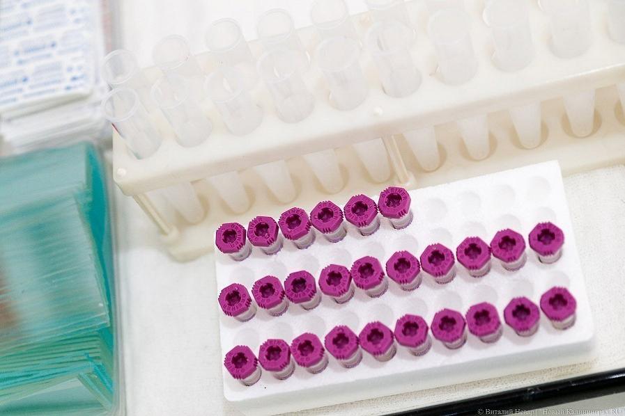 В Калининградской области зарегистрировали ещё четыре смерти от COVID-19