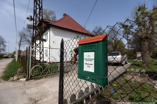 «Дитя и большой дом»: в Краснолесье пройдёт День работников леса