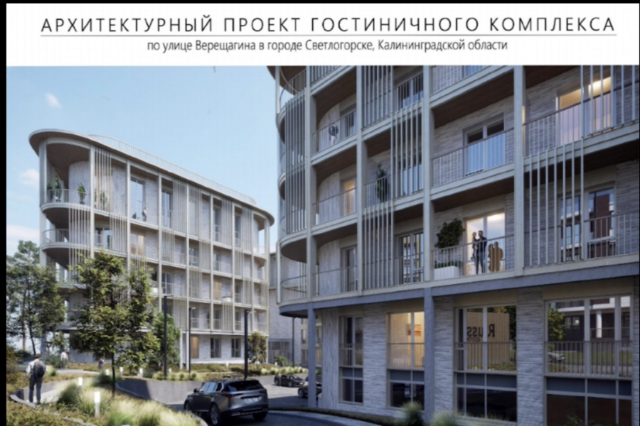 Компании Качановича разрешили вырубить больше 200 деревьев в Светлогорске