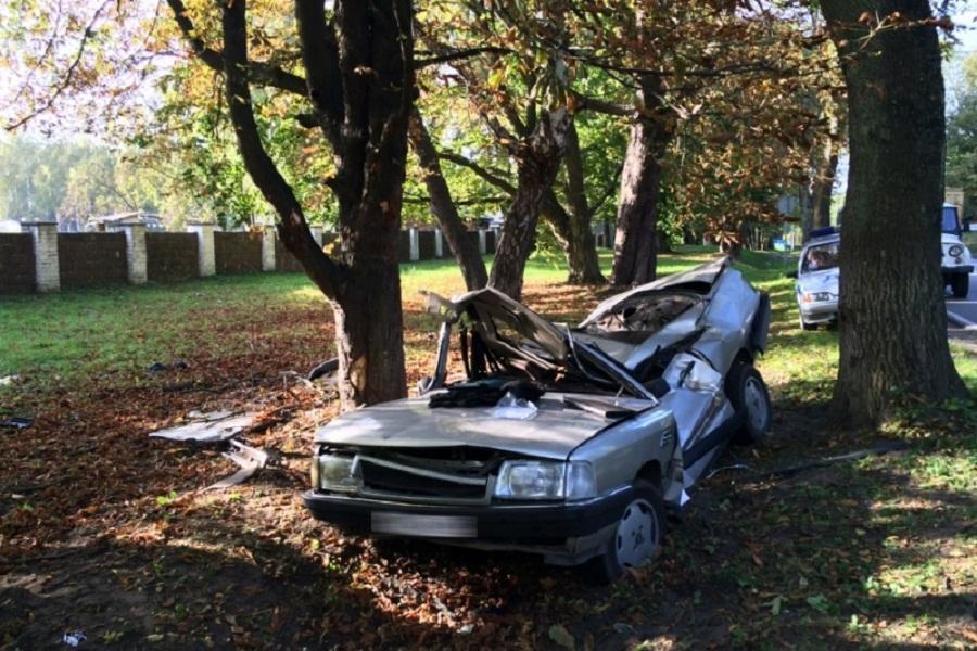 Под Балтийском «Ауди» врезалась в дерево, водитель погиб (фото)