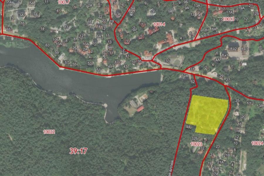 Областное правительство проиграло суд по большой зеленой зоне в Светлогорске