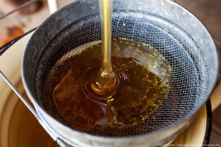 В нацпарке «Куршская коса» в субботу отпразднуют День мёда