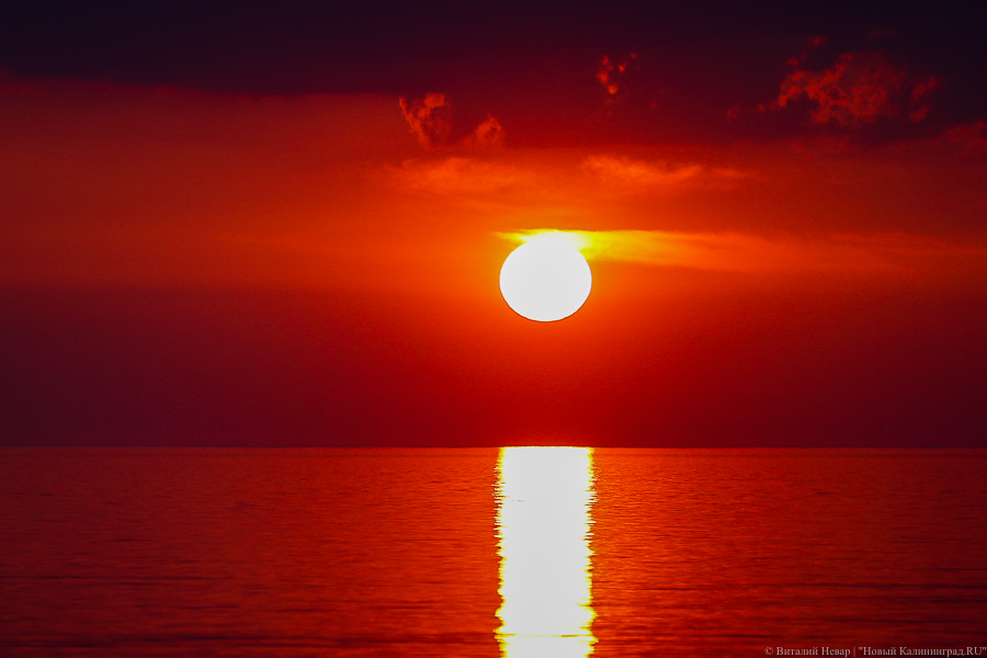 Российский истребитель сопроводил военный самолет Германии над Балтийским морем