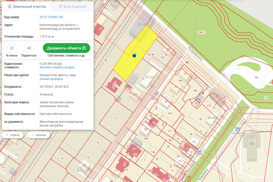 На ул. Островского в Калининграде разрешили вырубить 76 деревьев (фото)
