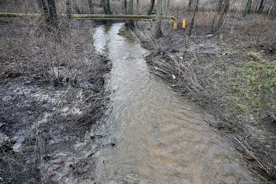 Мэрия: «Продукты питания» начали сбрасывать стоки не в реку, а в коллектор