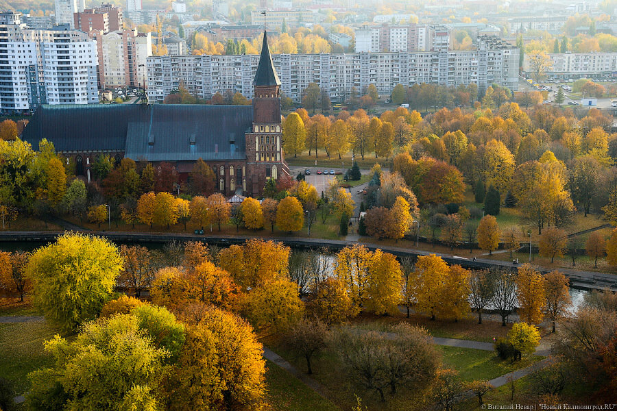 Погода в Калининграде 31 октября