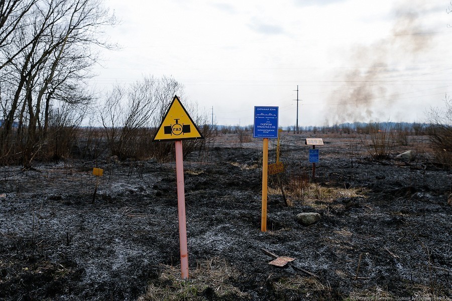 Областные власти хотят повторить торги на обследование газопровода в Балтийск