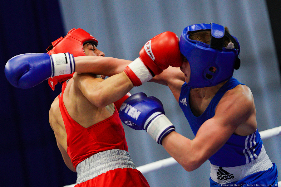 Очередной нокдаун: в Калининграде прошёл международный турнир по боксу «Янтарные перчатки»