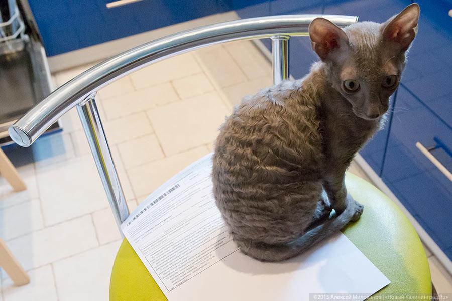 Министр ЖКХ и ТЭК рассказал о проценте собираемости средств в фонд капремонта