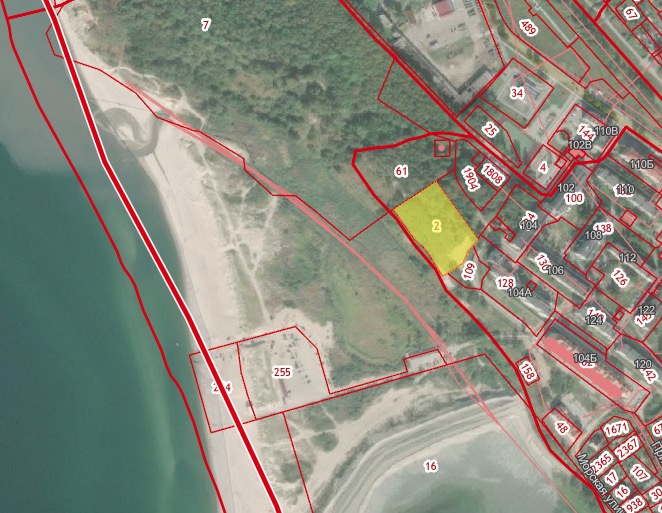 Суд обязал исключить участок у моря в Янтарном из числа лесов. Его выдавали под 6-этажку