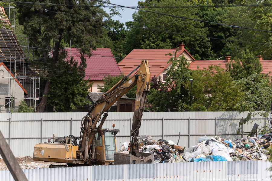 «От крыс отбиваемся граблями»: в Гурьевске требуют убрать перегрузку мусора от домов (фото)