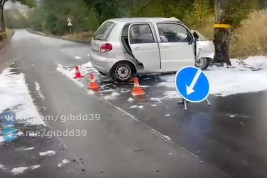 В ДТП в Озёрском районе пострадал годовалый ребёнок (видео)