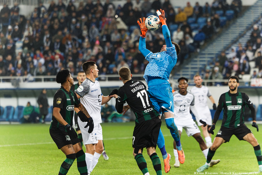 Ничья почти равна победе: как «Балтика» пободалась с «Краснодаром» (фото)