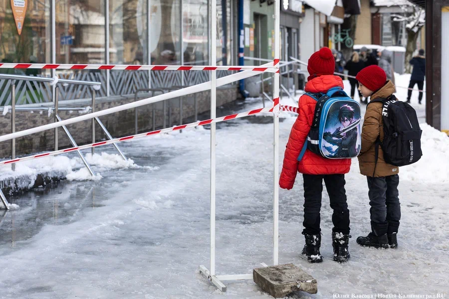 Горвласти: гололёд «не будет считаться неуважительной причиной» пропуска школы
