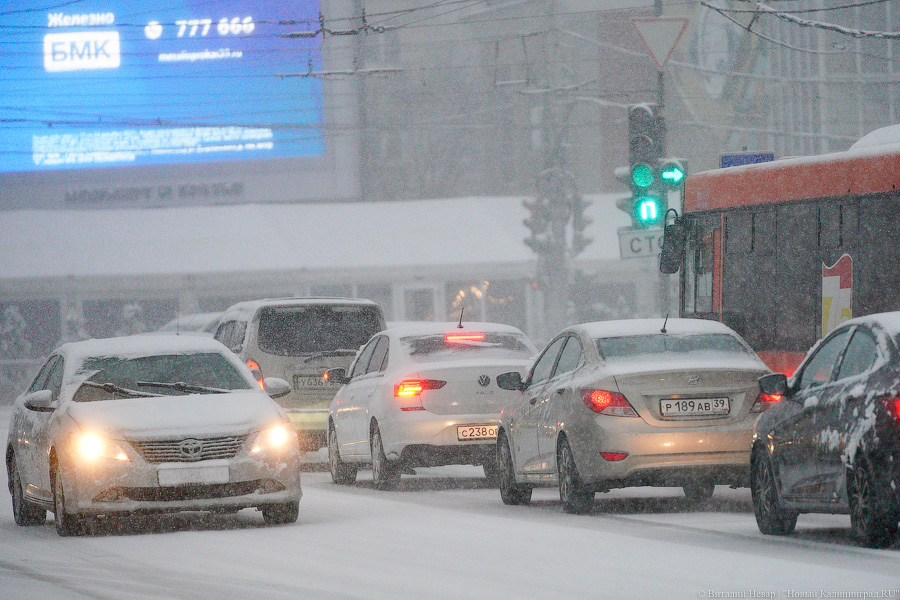 Воронежская компания выиграла конкурс на анализ дорожной ситуации в Калининграде