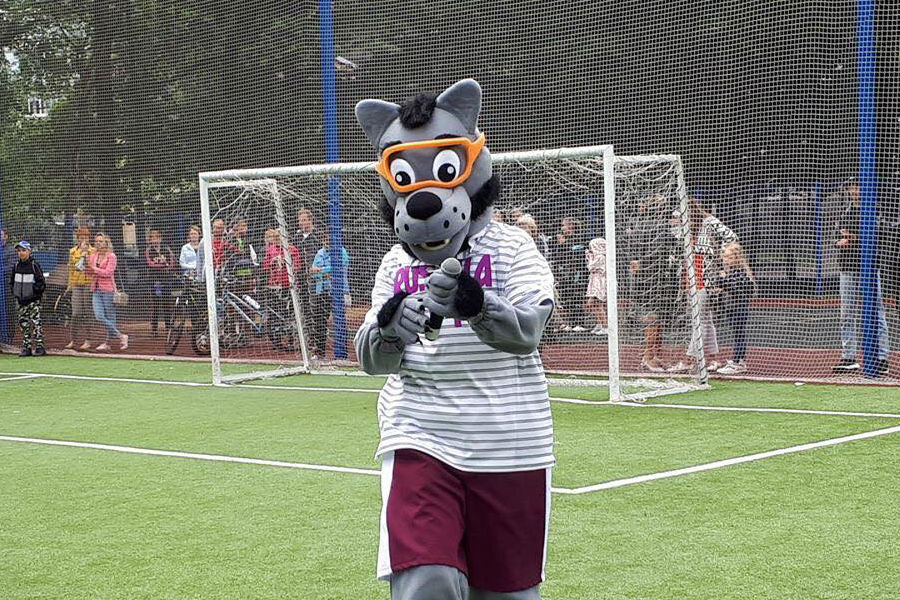 Сити-менеджеру Советска подсунули фальшивого «Забиваку» (фото)