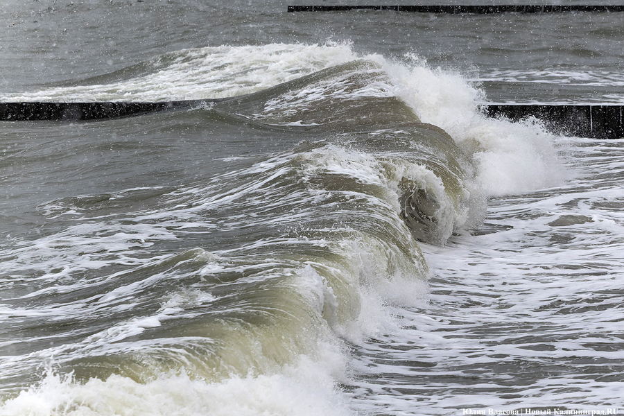 Погода в Калининграде 2 ноября