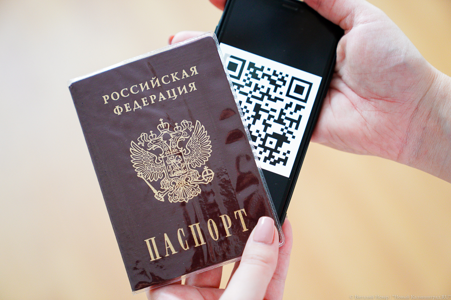 Облвласти: QR-коды для посещения утренников в детских садах не требуются