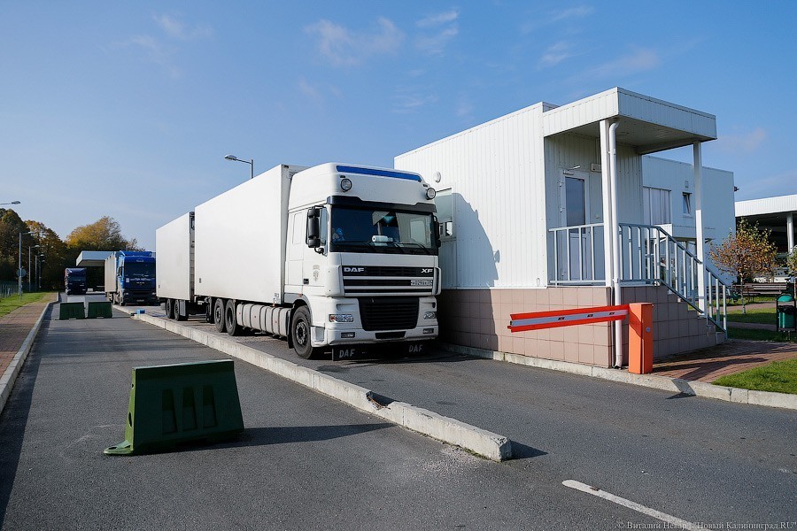 Таможенники не пустили в область крупную партию «санкционки», товар уничтожат