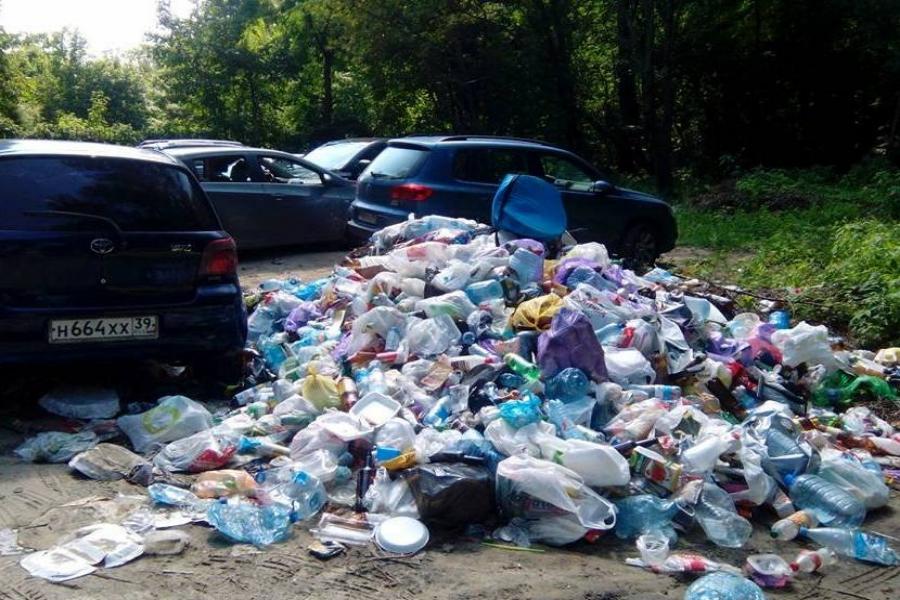 В Зеленоградске один из выходов к морю завалили мусором (фото) 