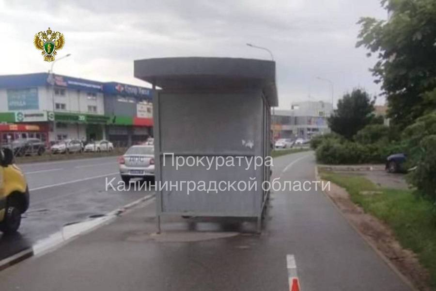 В Калининграде с 17-летнего самокатчика взыскали компенсацию за сбитого ребенка