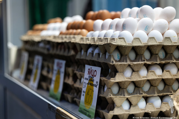 Вечерний@Калининград: рост яиц, падение «Балтики» и история области