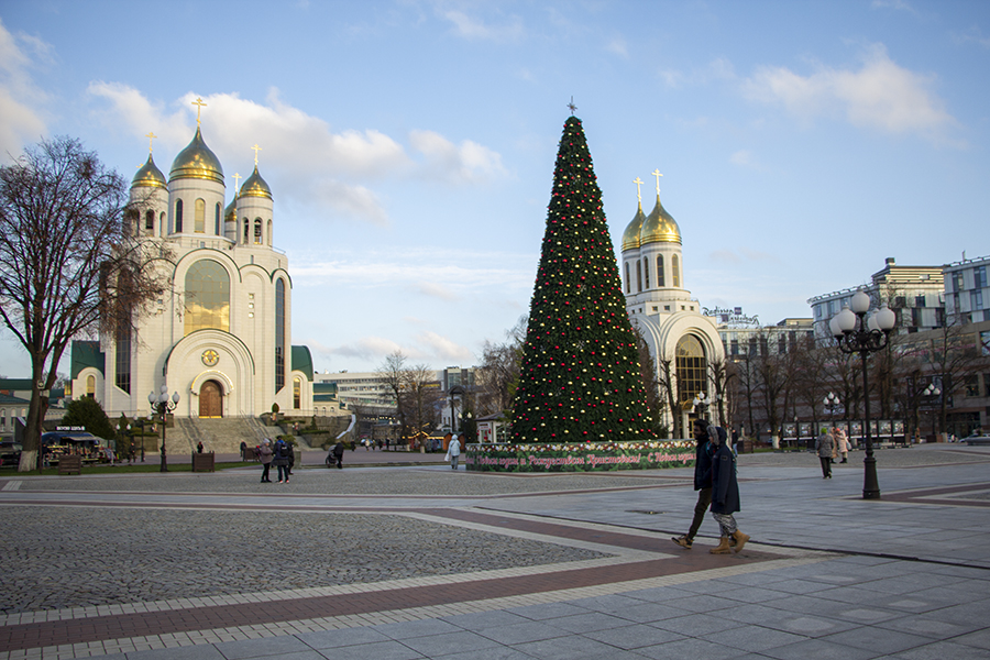 Погода В Калининграде Фото