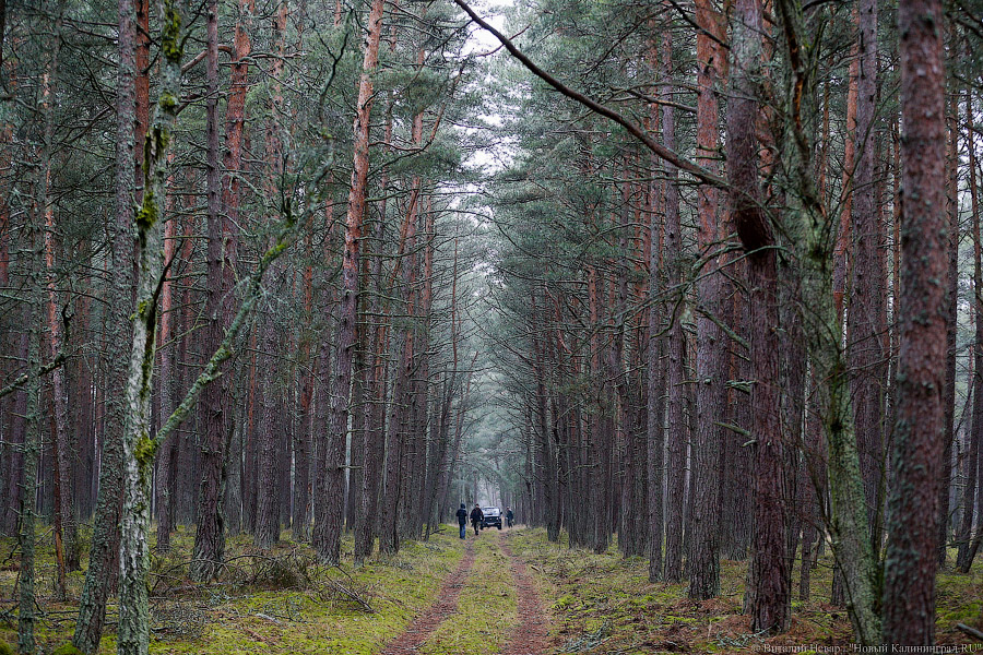 Турист из Москвы заблудился на Куршской косе