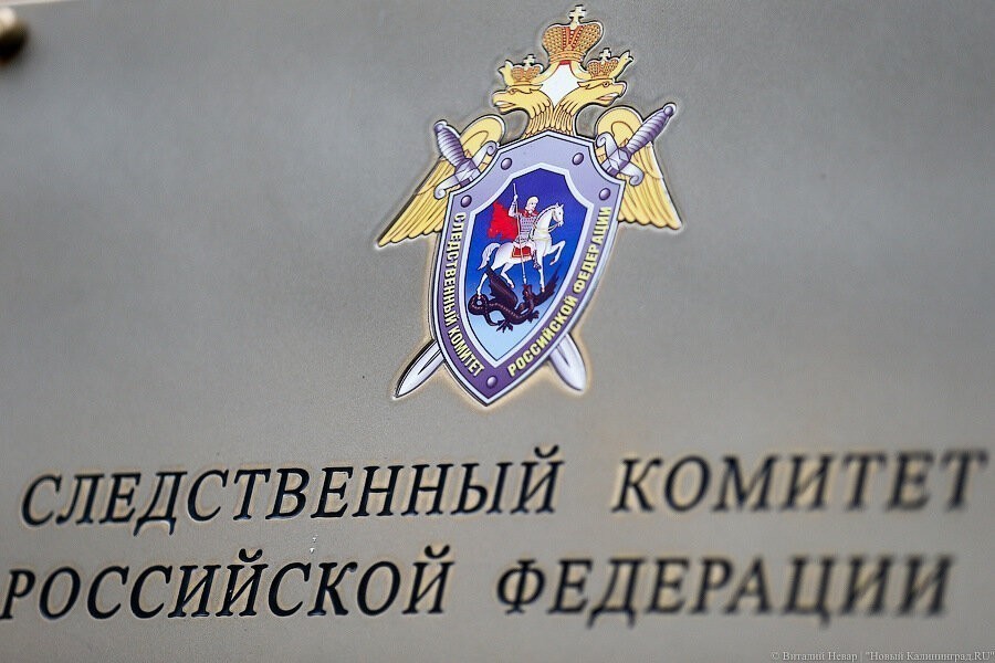 В отношении калининградского блогера возбудили дело за оправдание нацизма 