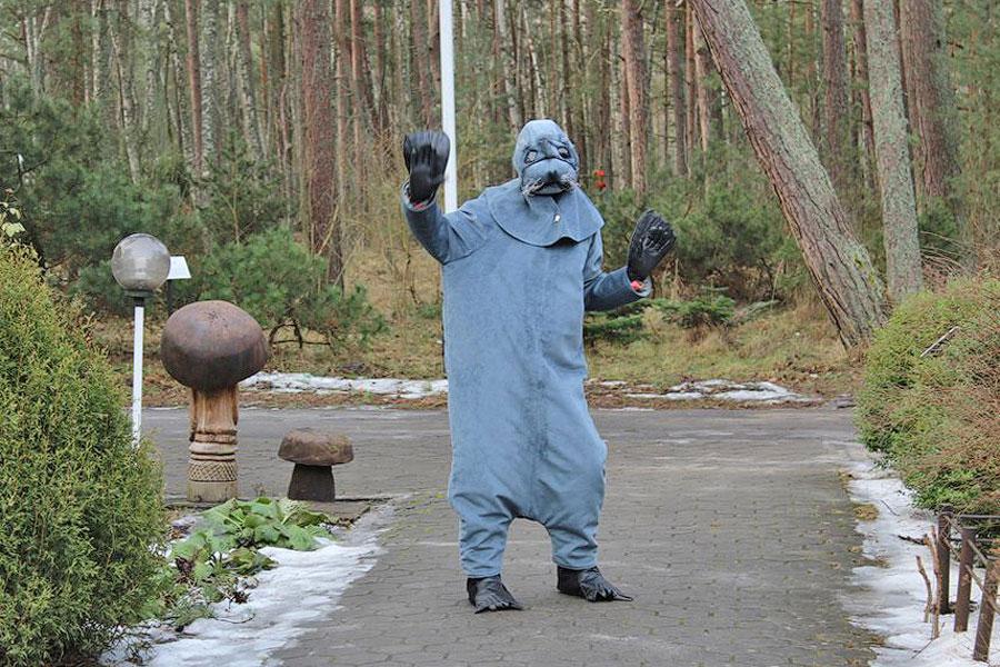 На Куршской косе пройдет ежегодный День тюленя
