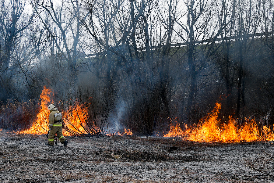 На время палов травы в Калининграде запрещают жарить шашлыки, в том числе в мангалах