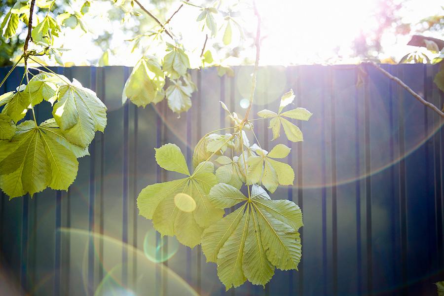 Битва за детсад: прокуратура требует остановить стройку в Малом переулке
