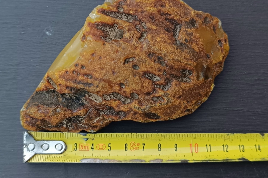 На Балтийской косе турист нашёл янтарь размером с кулак (фото)