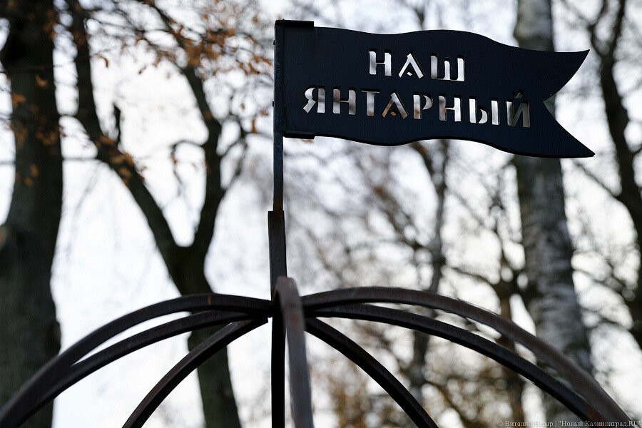 За Янтарным хотят закрепить статус моногорода