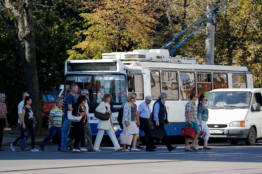 Петицию против повышения пенсионного возраста в России подписали 1 млн человек
