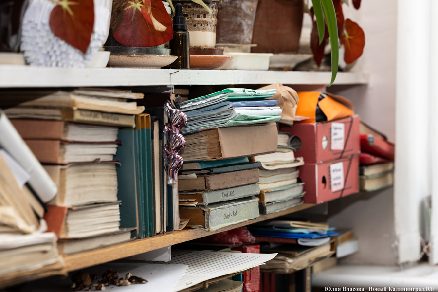 Экоарт-прогулка, сбор вторсырья и книгообмен: в Калининграде пройдет Весенний экодвор
