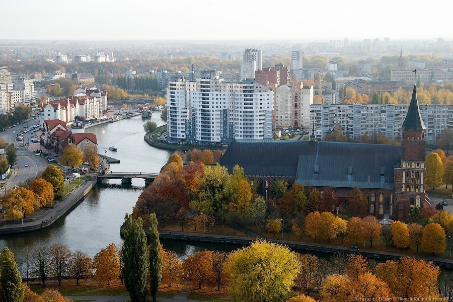 «Регуляторную гильотину» хотят опробовать в Калининграде и 8 других регионах