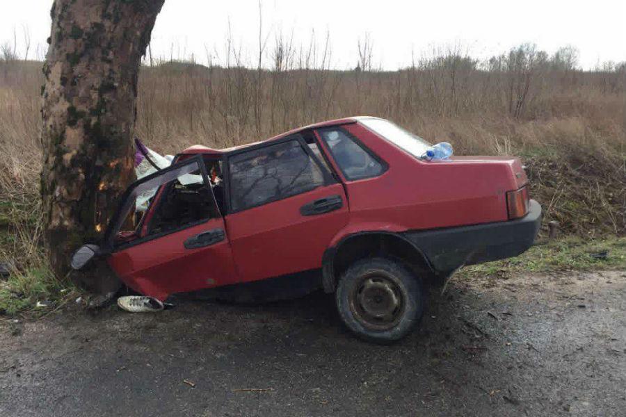 Очевидцы: на Люблинском шоссе авто влетело в дерево, есть пострадавшие (фото)