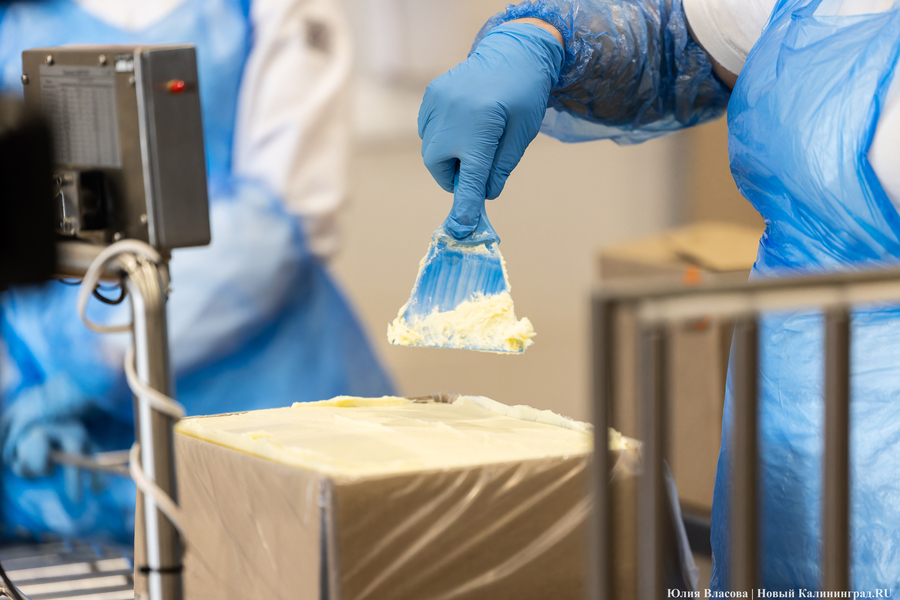 В Калининградской области увеличилось производство сливочного масла 